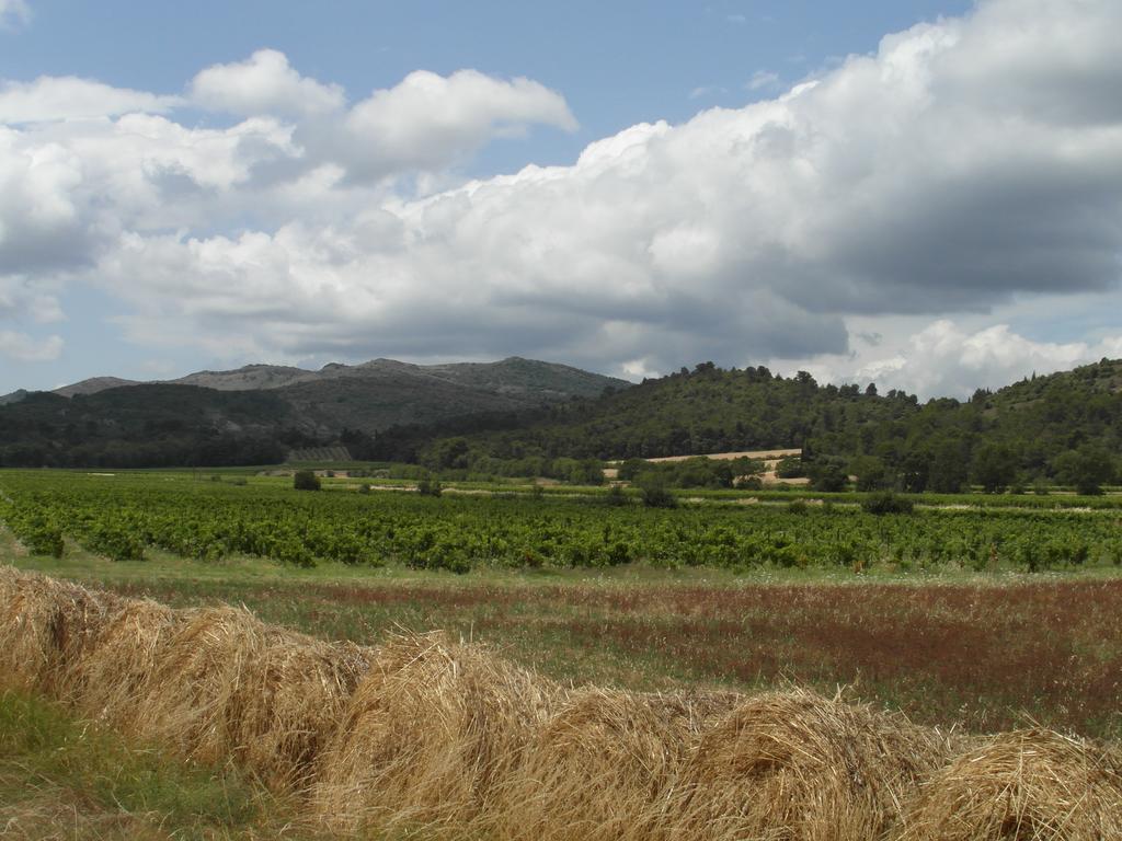 Bergerie Du Plo Villa Montlaur  Exteriör bild